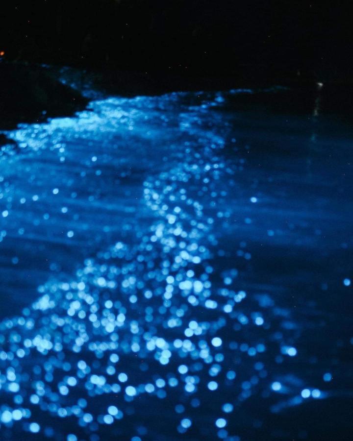 Rasdhoo Rashuthere Maldives מראה חיצוני תמונה