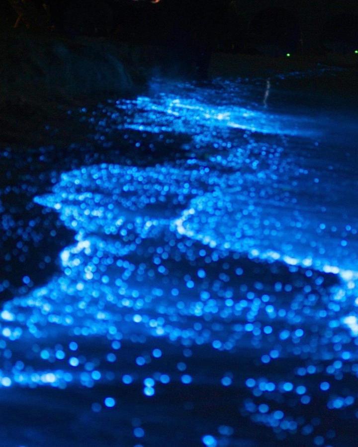 Rasdhoo Rashuthere Maldives מראה חיצוני תמונה