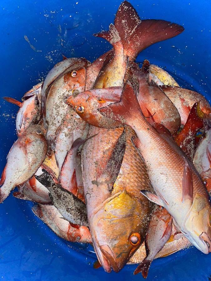 Rasdhoo Rashuthere Maldives מראה חיצוני תמונה