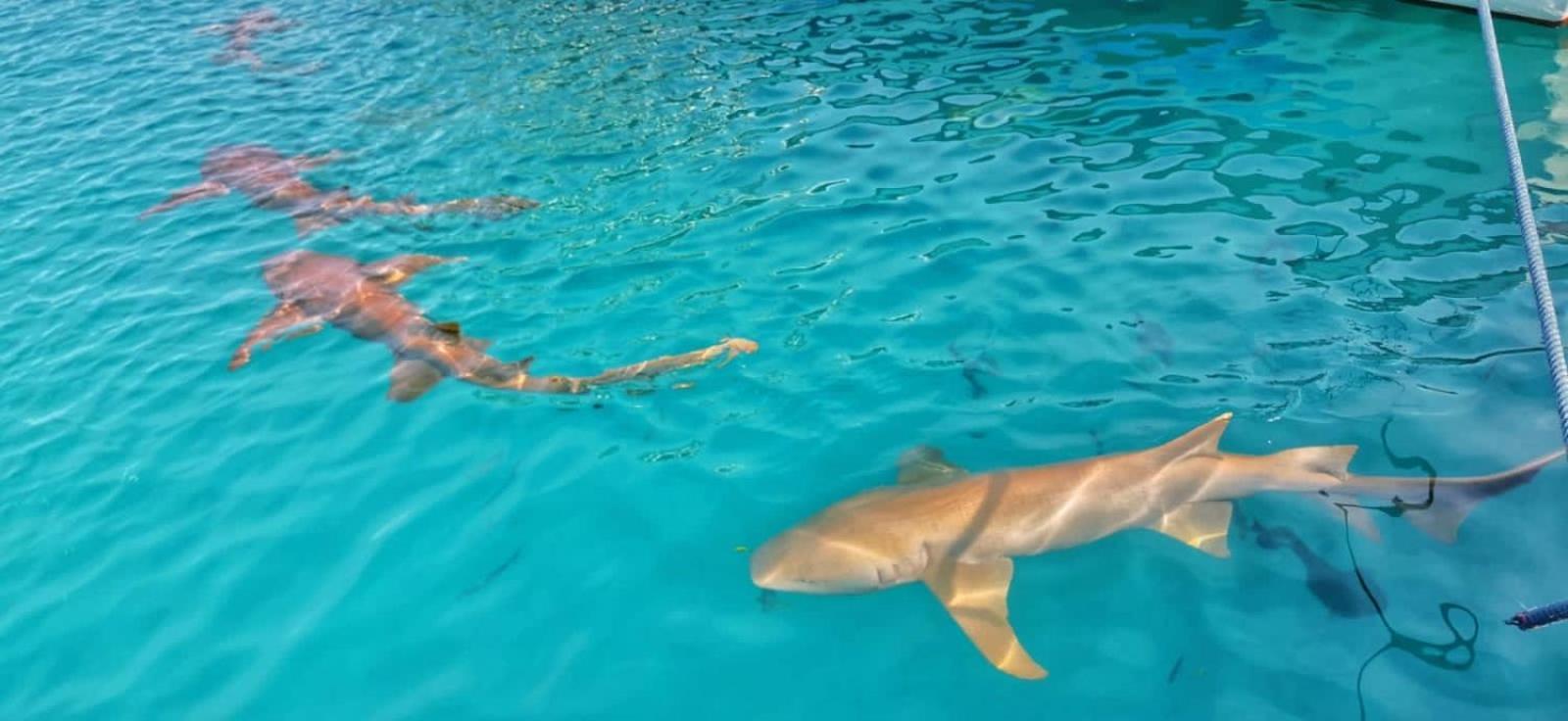 Rasdhoo Rashuthere Maldives מראה חיצוני תמונה