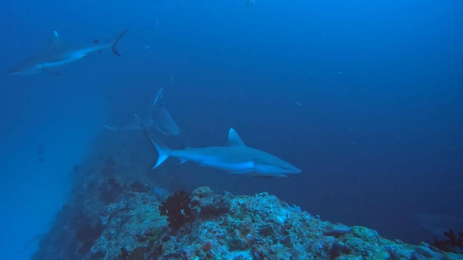 Rasdhoo Rashuthere Maldives מראה חיצוני תמונה