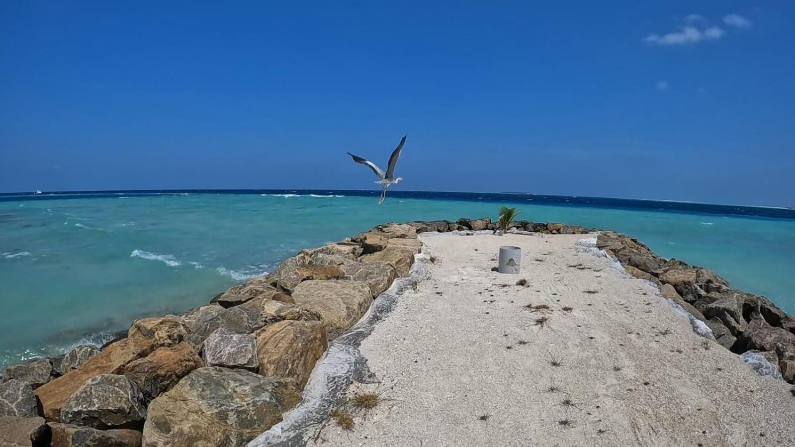 Rasdhoo Rashuthere Maldives מראה חיצוני תמונה